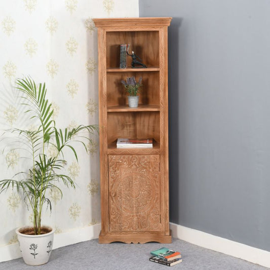 A corner bookcase with a plant on the floor, adding a touch of greenery to the room decor.